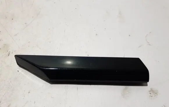 BMW iX Front door glass trim molding 