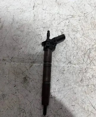 Mercedes-Benz GL X164 Fuel injector A6420700587 060821 0445115