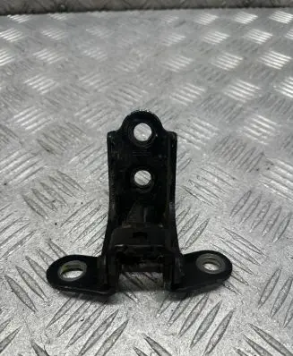 KIA Sportage Rear door lower hinge