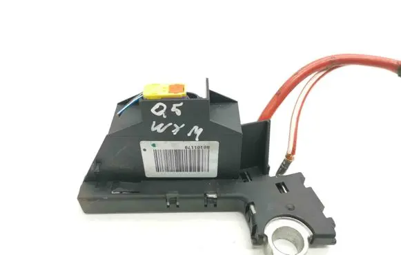 Audi Q5 SQ5 Positive cable (battery) B0101179