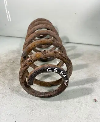 Volkswagen Golf V Rear coil spring