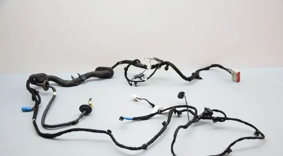 Other wiring loom