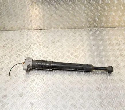 Maserati Quattroporte Rear shock absorber/damper 462400008619 6700054570