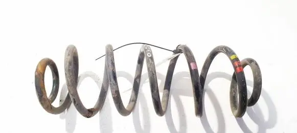 Rear coil spring