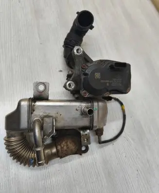 EGR valve