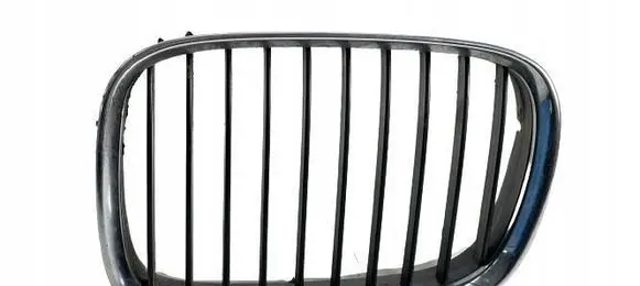 BMW 5 E39 Front bumper upper radiator grill 8159311