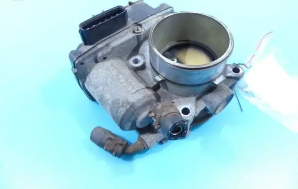 Throttle body valve