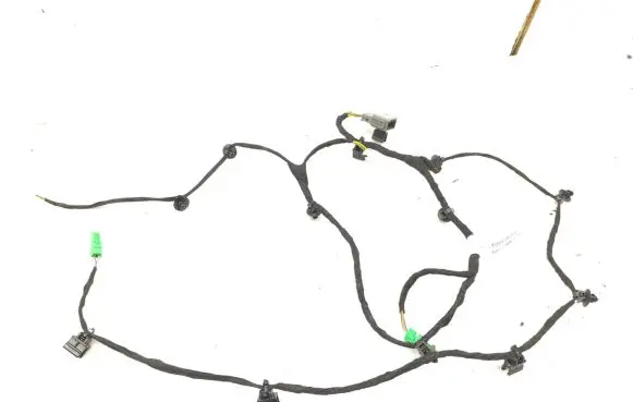 Front door wiring loom