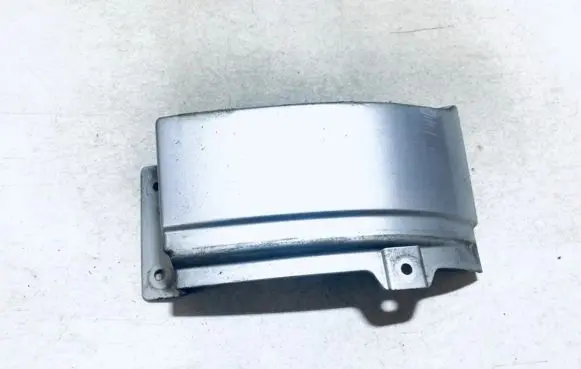 Rear/tail light trim molding