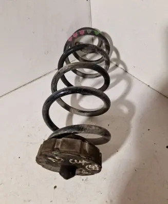 Rear coil spring
