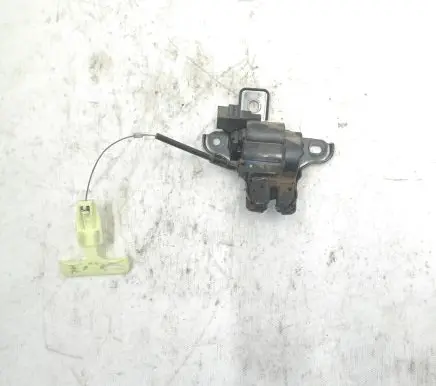 Ford Mustang VI Tailgate/trunk/boot lock/catch/latch FR3B6343282BA