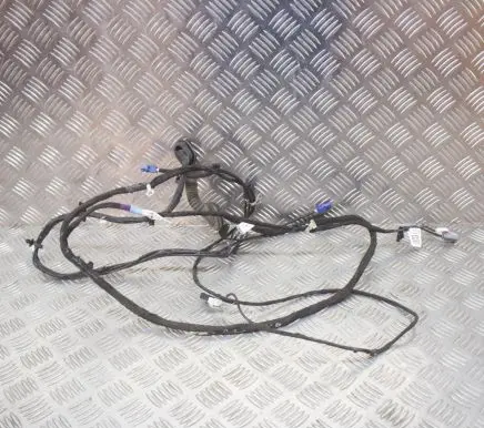 Tesla Model S Other wiring loom 200442900A
