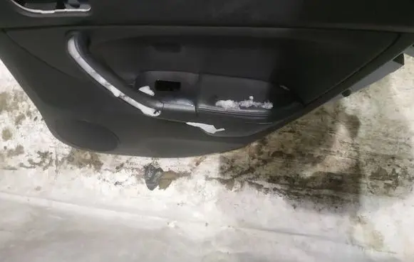Honda Accord Rear door card panel trim 