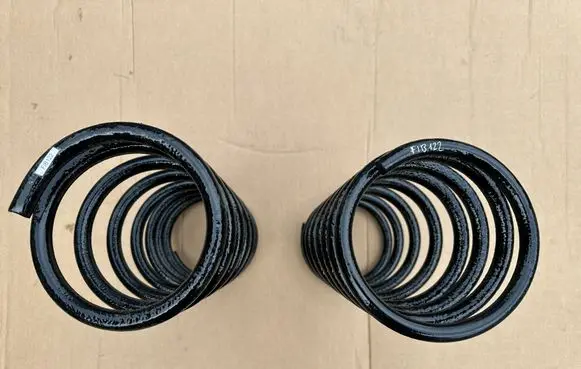Rear coil spring