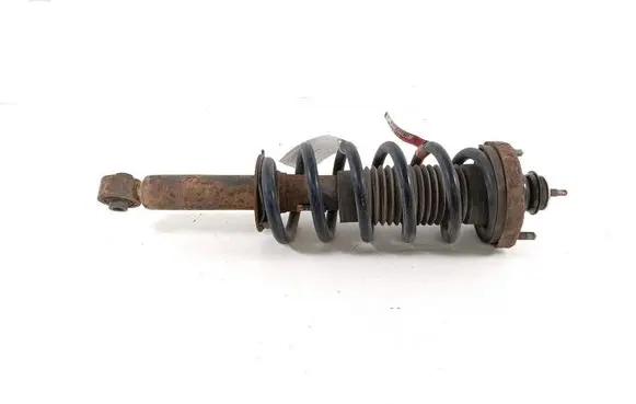 Dodge Journey Rear shock absorber with coil spring 