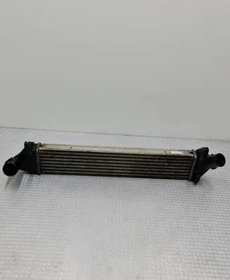 Dacia Sandero Intercooler radiator 8200409045 D11959M06021GSD