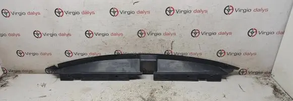 Engine bonnet/hood lock trim molding