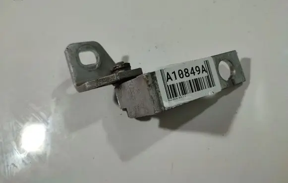 Rear door lower hinge