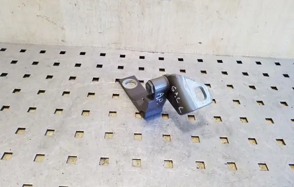 Ford Focus Rear door lower hinge