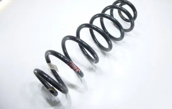 Rear coil spring