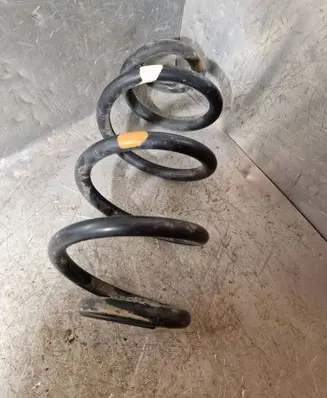 Rear coil spring