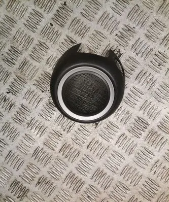 Side speaker trim/cover