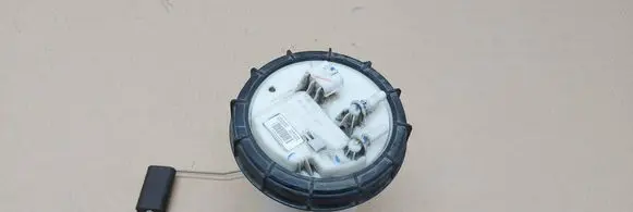 Renault Megane III In-tank fuel pump 172020030R