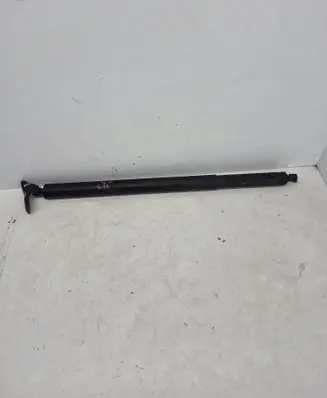 Hyundai Santa Fe Tailgate strut 81841S1600