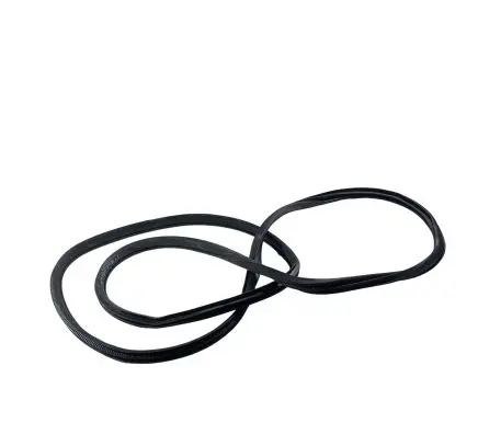 Nissan Rogue Front door rubber seal