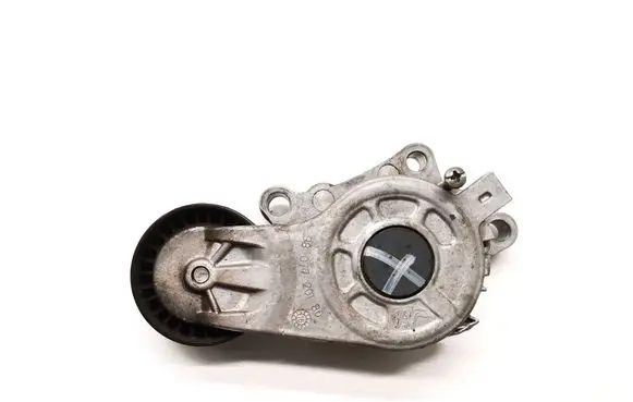 Peugeot Expert Alternator belt tensioner 9807720180