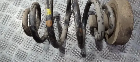 Volkswagen PASSAT B5 Rear coil spring