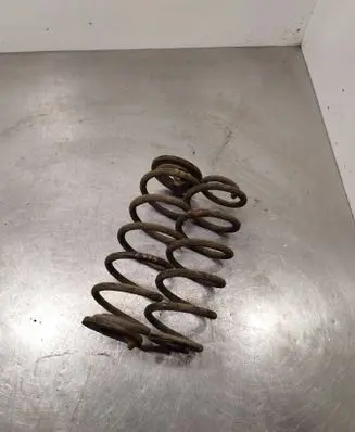Rear coil spring