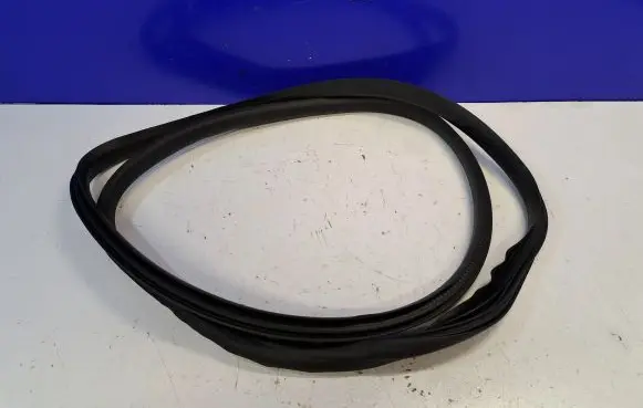 Volvo S40 Rubber seal front door (on door) 8663911