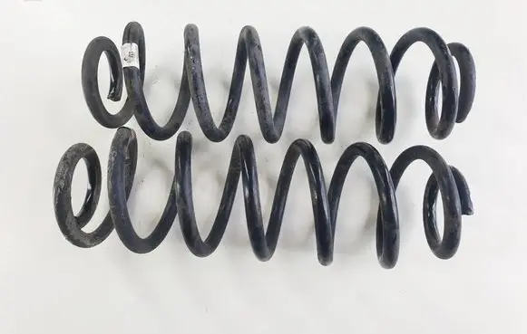 Rear coil spring