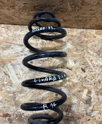 Rear coil spring