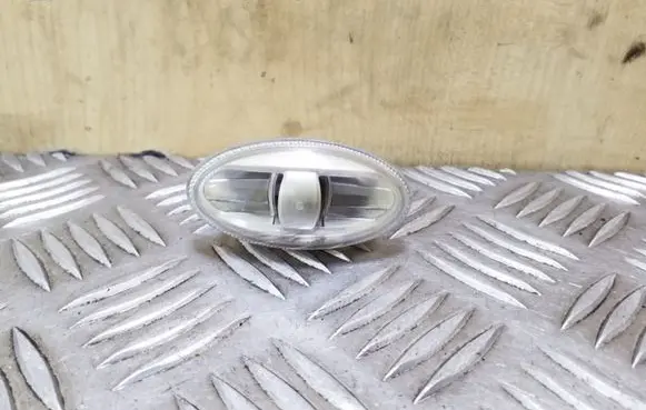 Front fender indicator light