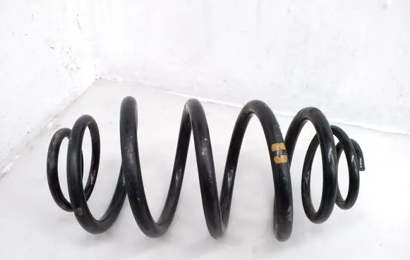 Rear coil spring