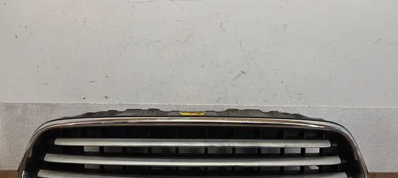Mini Cooper Countryman R60 Front grill 224059-10