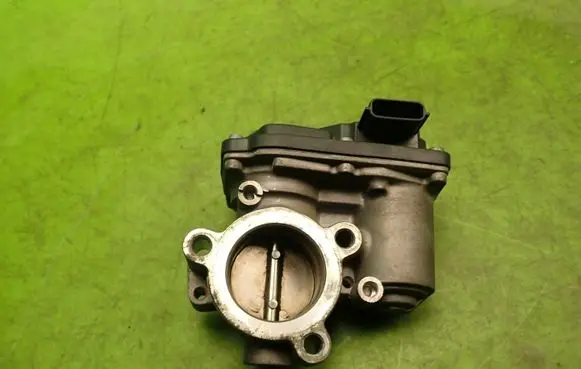 Dacia Logan II Throttle body valve 