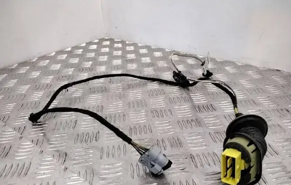 Rear door wiring loom