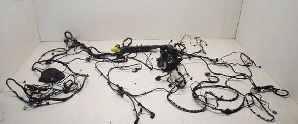 Other wiring loom