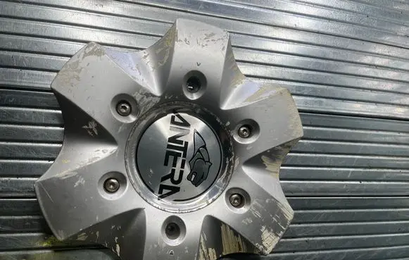 Renault Scenic III - Grand scenic III Original wheel cap 191361001 L0019016L