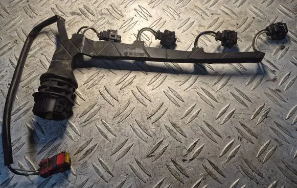 Peugeot 307 Fuel injector wires 9638163180