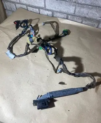 Front door wiring loom