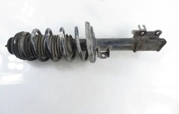 Opel Meriva B Front shock absorber with coil spring 