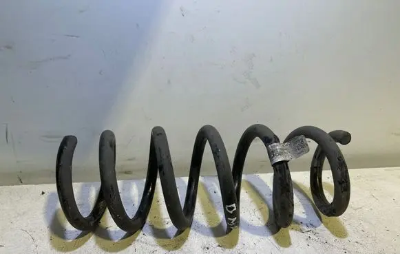 BMW X3 G01 Rear coil spring 6884923