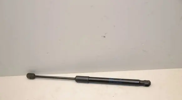 Front bonnet/hood damper/strut