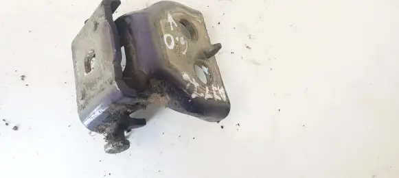 Peugeot 307 Rear door lower hinge 