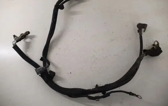 Positive wiring loom
