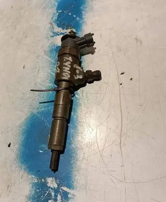 Citroen C3 Fuel injector